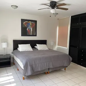 https://excelente-ubicacion-seguridad-y-atencin.quintano-roohotels.com